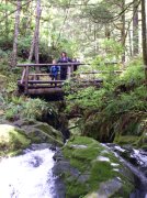 5.29.06 Siouxon Creek 016 